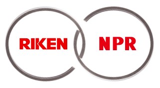 RIKEN NPR